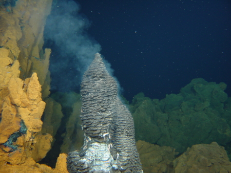 Physical Resources and Deep-Sea Ecosystems